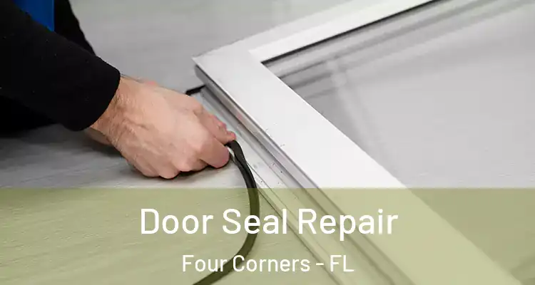 Door Seal Repair Four Corners - FL