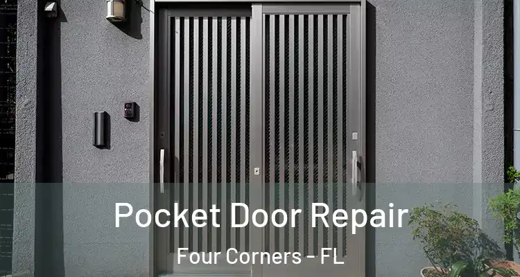  Pocket Door Repair Four Corners - FL